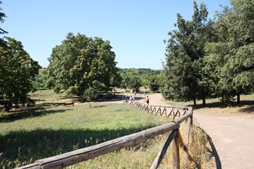 Appia Antica