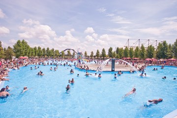 Zoomarine Swimming Pool