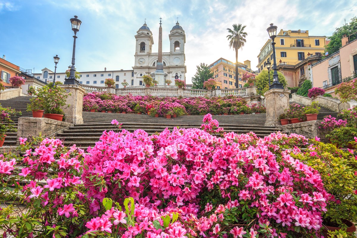 infiorata spanish steps rome